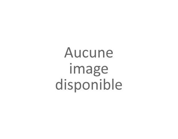 Billard industriel Guillaume Américain 6FT